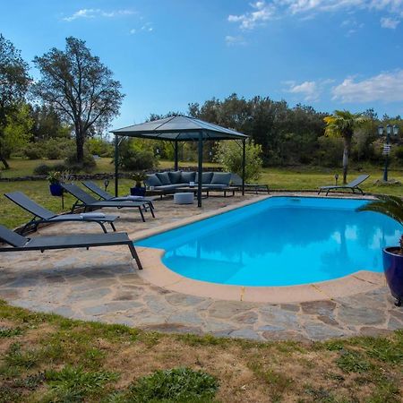 Villa Catalpa Avec Piscine Le Muy Extérieur photo